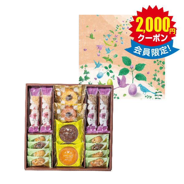 森の庭　焼き菓子アソート　芽吹き　１６個入 × 9箱