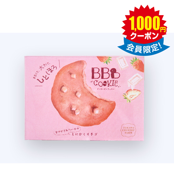 ＢＢＢクッキー　９枚セット × 10箱