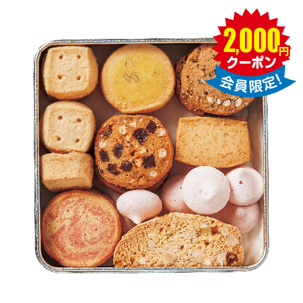 Ｆｏｒｅｃｉｐｅ　ちいさな森のクッキーＳ × 36箱