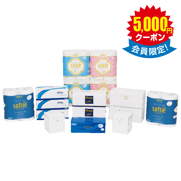 ティシュー・トイレットロール詰合せ × 10箱　＜店頭非売品＞
