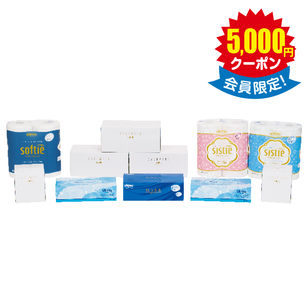 ティシュー・トイレットロール詰合せ × 10箱　＜店頭非売品＞