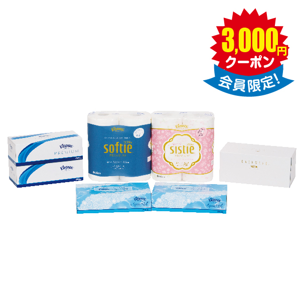 ティシュー・トイレットロール詰合せ × 10箱　＜店頭非売品＞