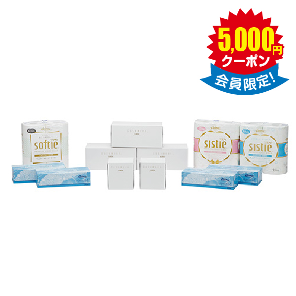 ティシュー・トイレットロール詰合せ × 10箱　＜店頭非売品＞