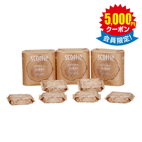 スコッティ ナチュラル詰合せ × 10箱　＜店頭非売品＞