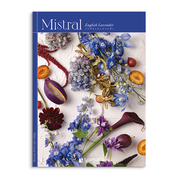 Ｍｉｓｔｒａｌ　イングリッシュラベンダーコース