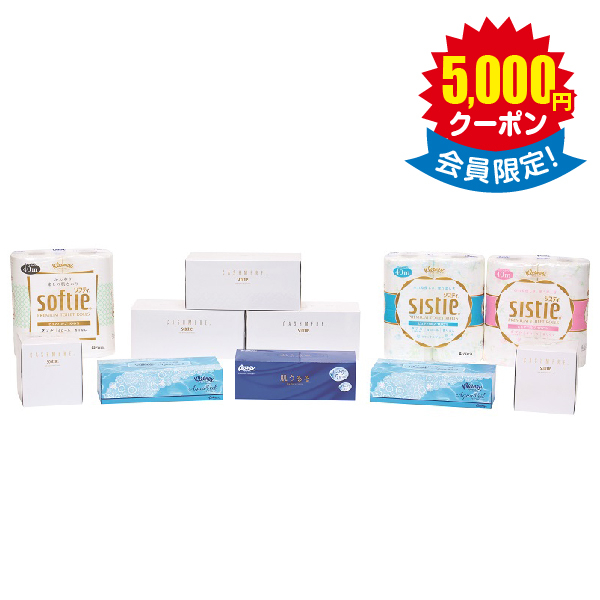 ティシュー・トイレットロール詰合せ × 10箱　＜店頭非売品＞