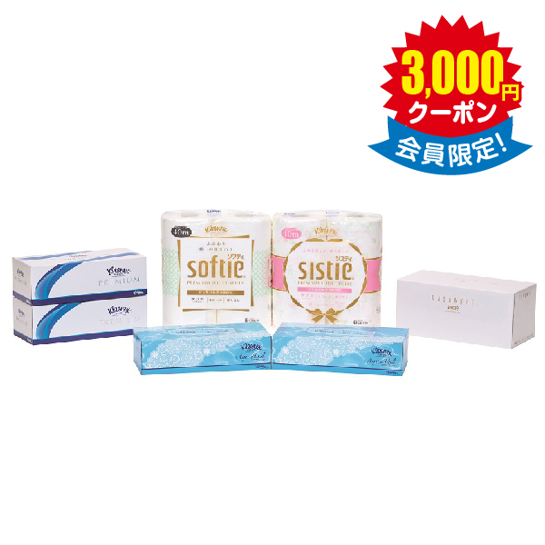 ティシュー・トイレットロール詰合せ × 10箱　＜店頭非売品＞